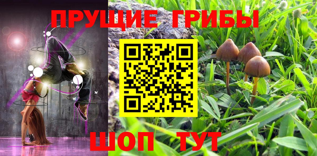 Псилоцибиновые грибы Cubensis  Вход с VPN  Ковров  Галлюциногенные грибы MAGIC MUSHROOMS 
